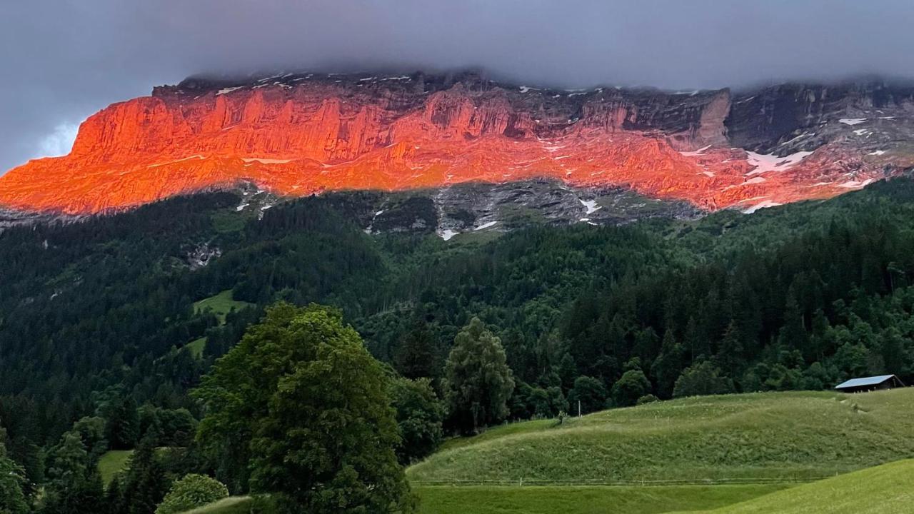 Ferienwohnung Im Gruenen Grindelwald Exterior foto