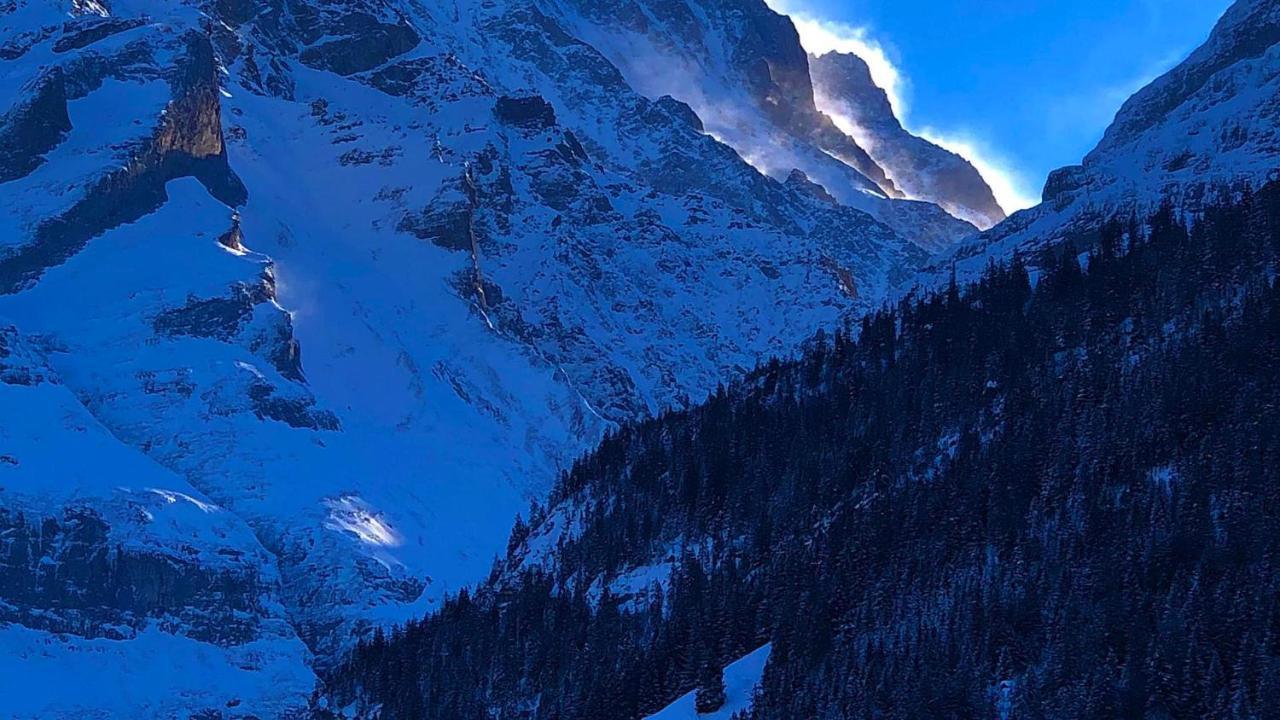 Ferienwohnung Im Gruenen Grindelwald Exterior foto