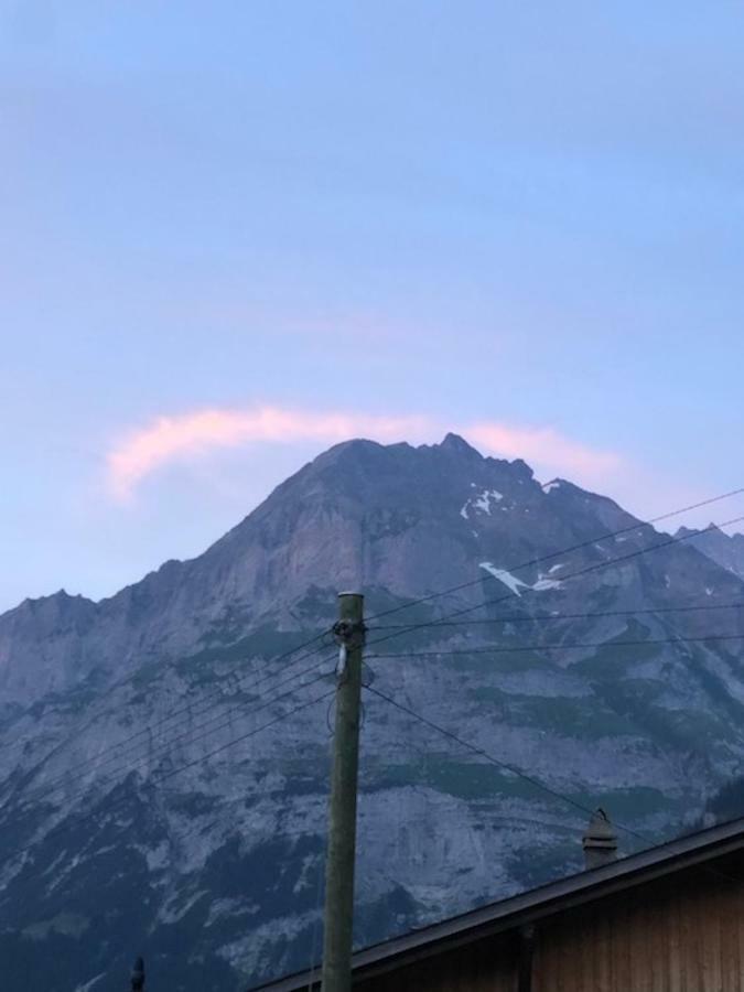 Ferienwohnung Im Gruenen Grindelwald Exterior foto
