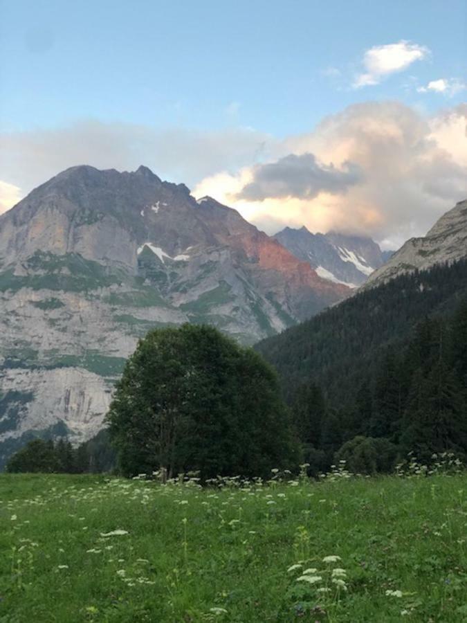Ferienwohnung Im Gruenen Grindelwald Exterior foto